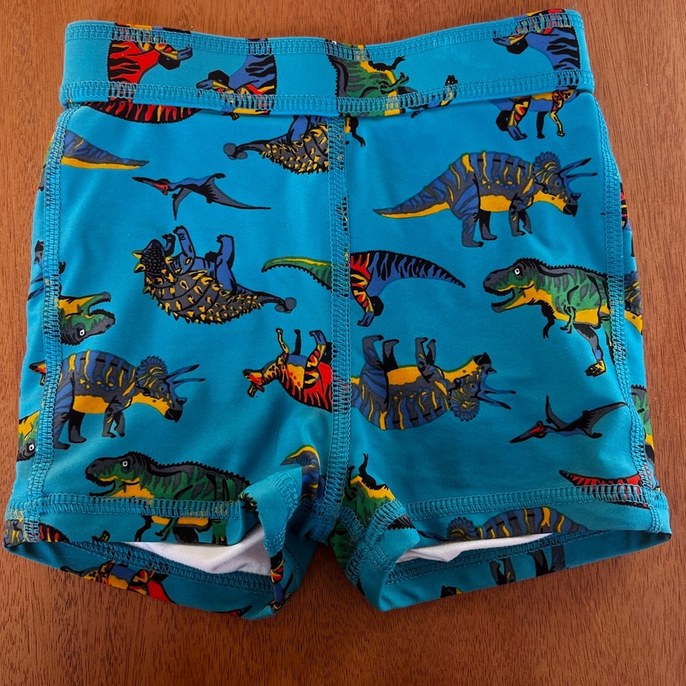 Hannah Anderson Boy’s Dinosaur Swim Trunks